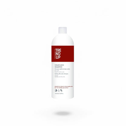Șampon profesional pentru păr vopsit – Color Lock. Fixare și protecție culoare, hidratare și strălucire intensă.