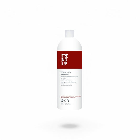 Șampon Color Lock 1000 ml | Protecție Culoare Profesională